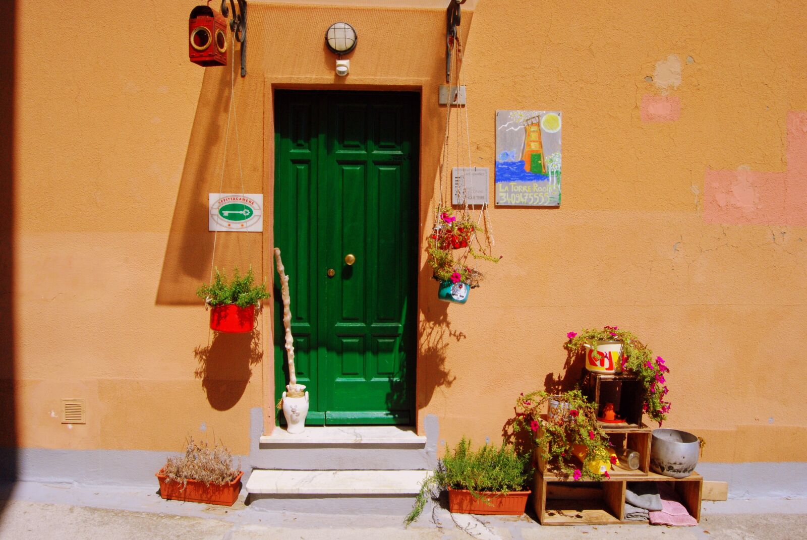 Nikon D60 sample photo. Door, entrance, flowers photography