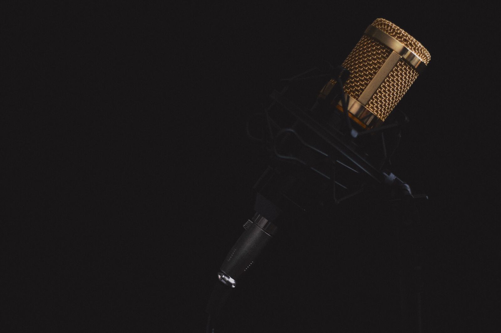 Nikon D3100 sample photo. Microphone, device, music, sound photography