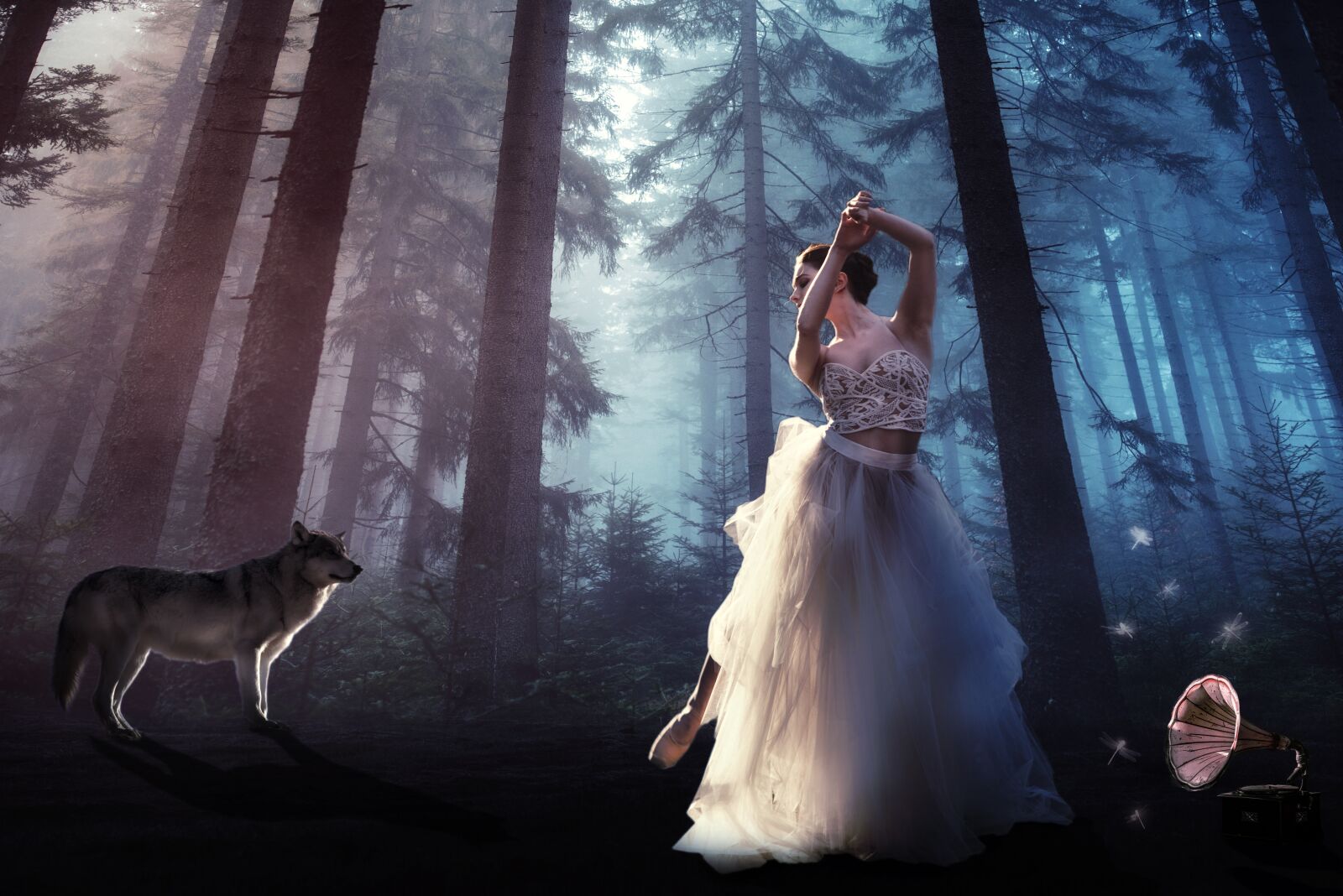 Nikon D750 sample photo. Forest, surrealism, wolf photography