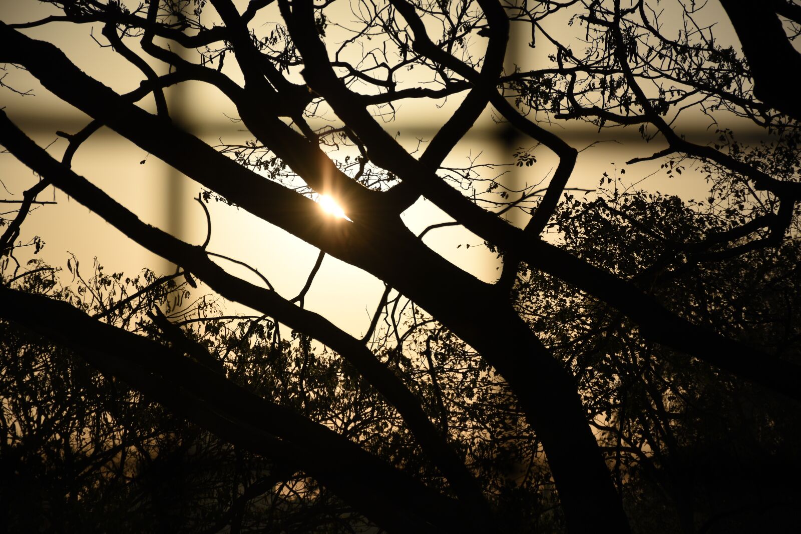 Nikon D5600 sample photo. Sunrise, morning, dawn photography