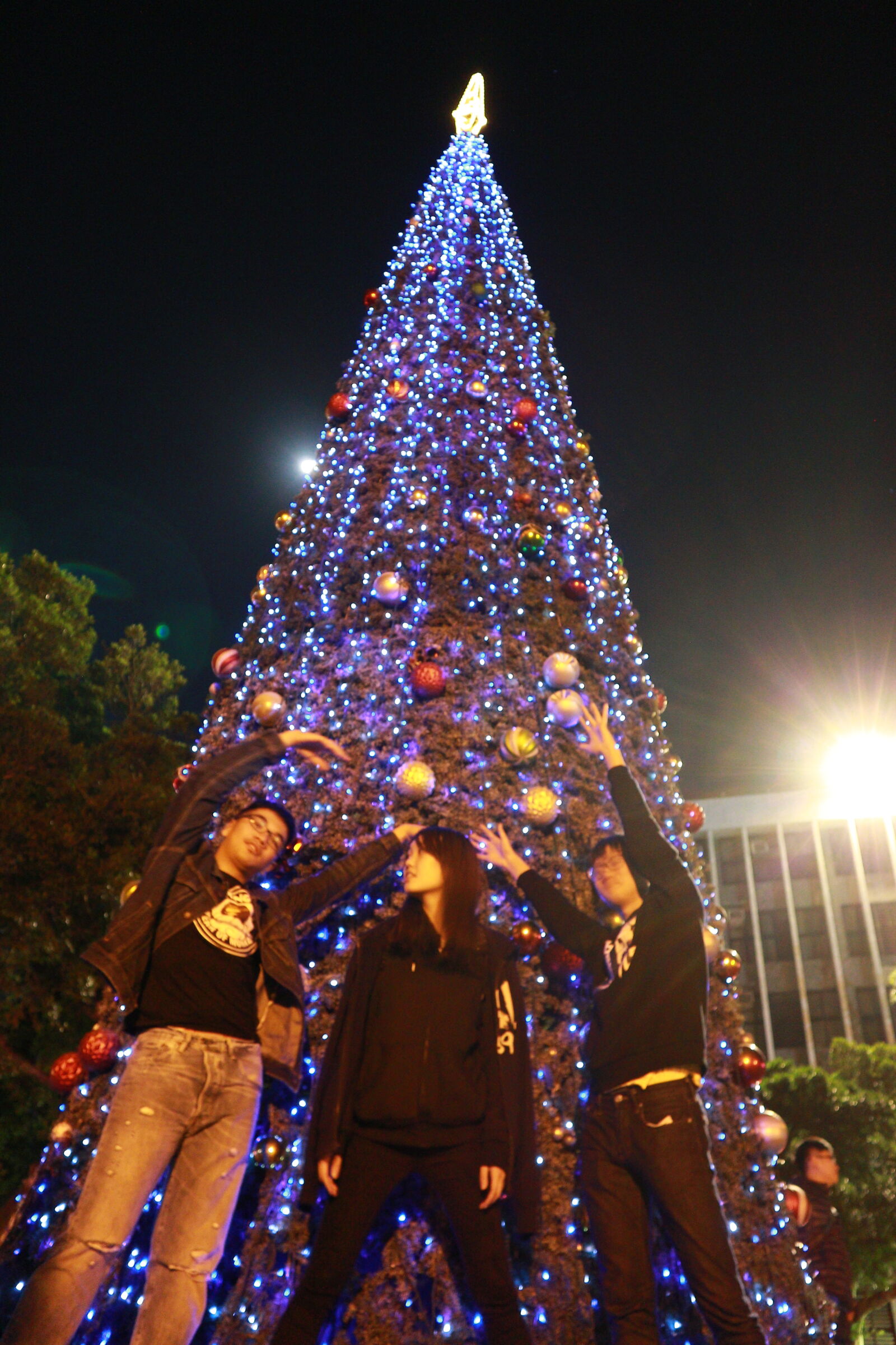 Canon EOS M sample photo. Low, angle, view, of photography