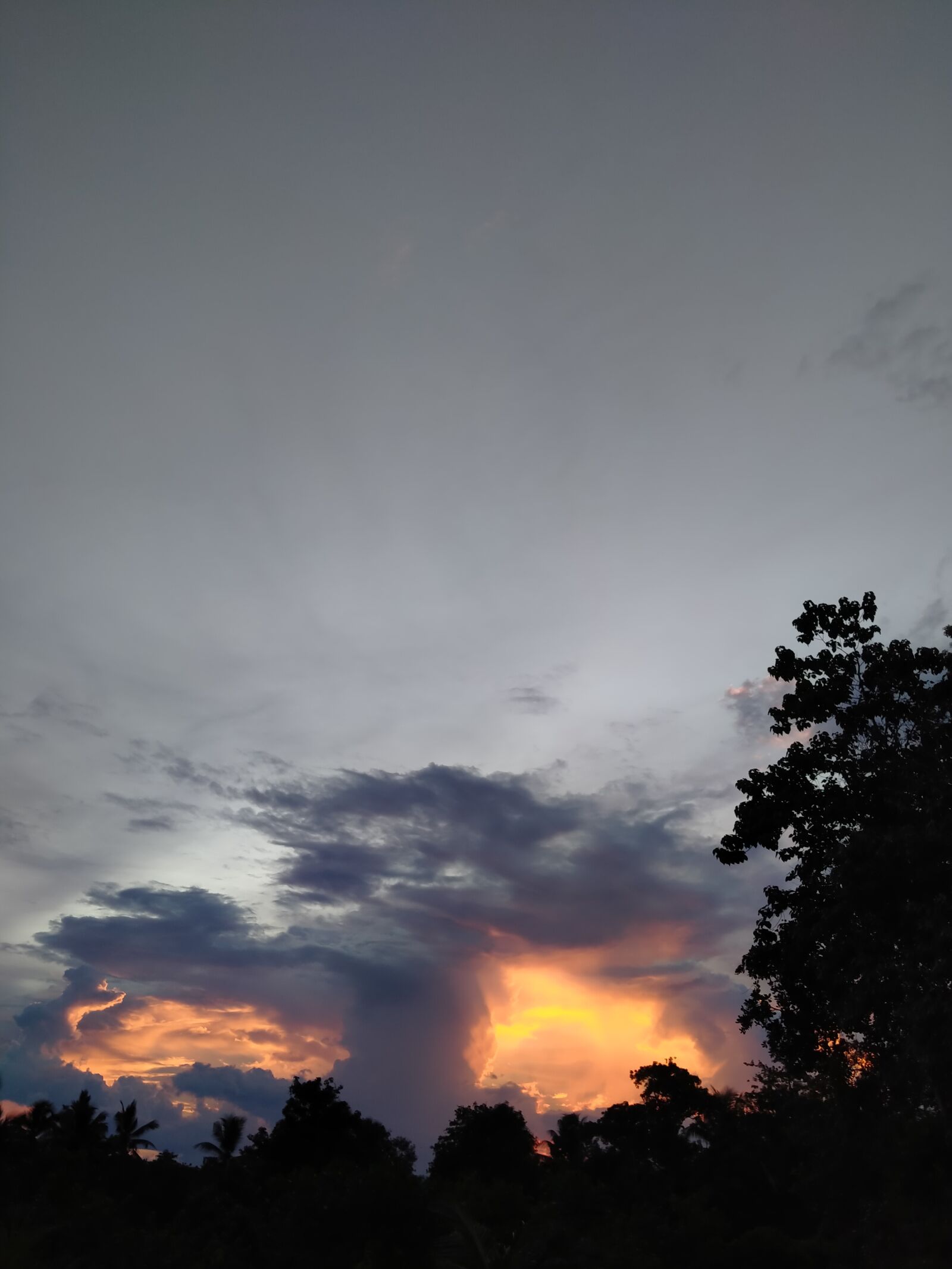Realme 5I sample photo. Sunrice, good morning, sunset photography