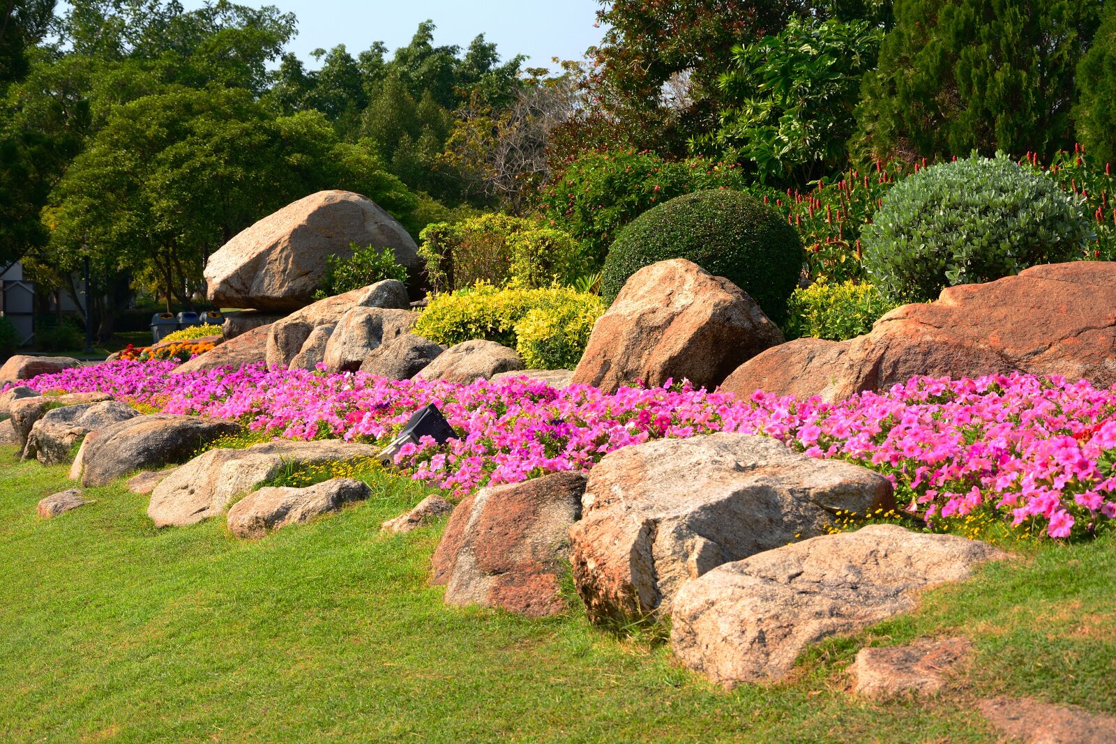 Nikon D5200 sample photo. Parks, flowers, suan luang photography