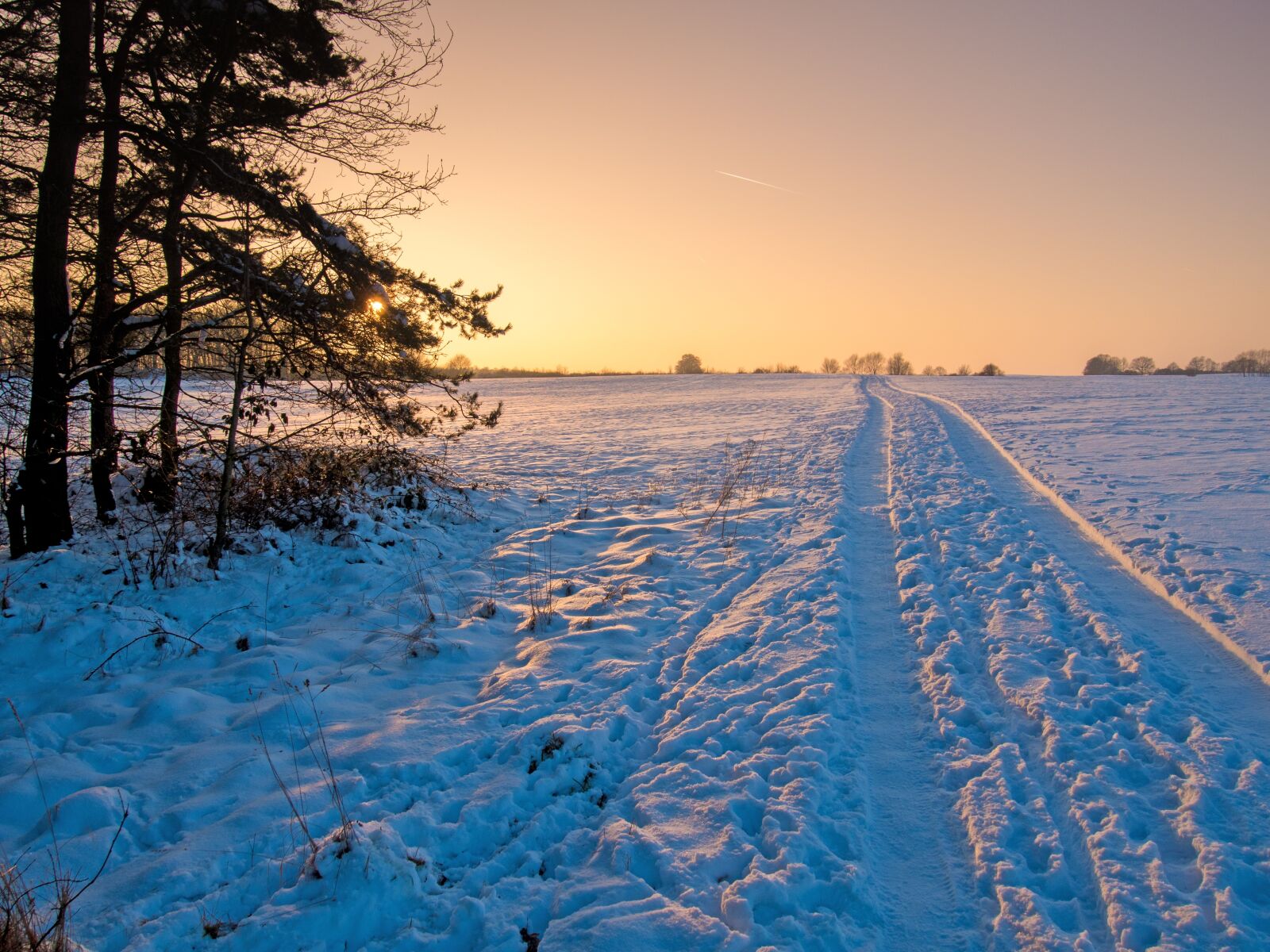 Olympus PEN E-PL7 sample photo. Winter, snow, wintry photography