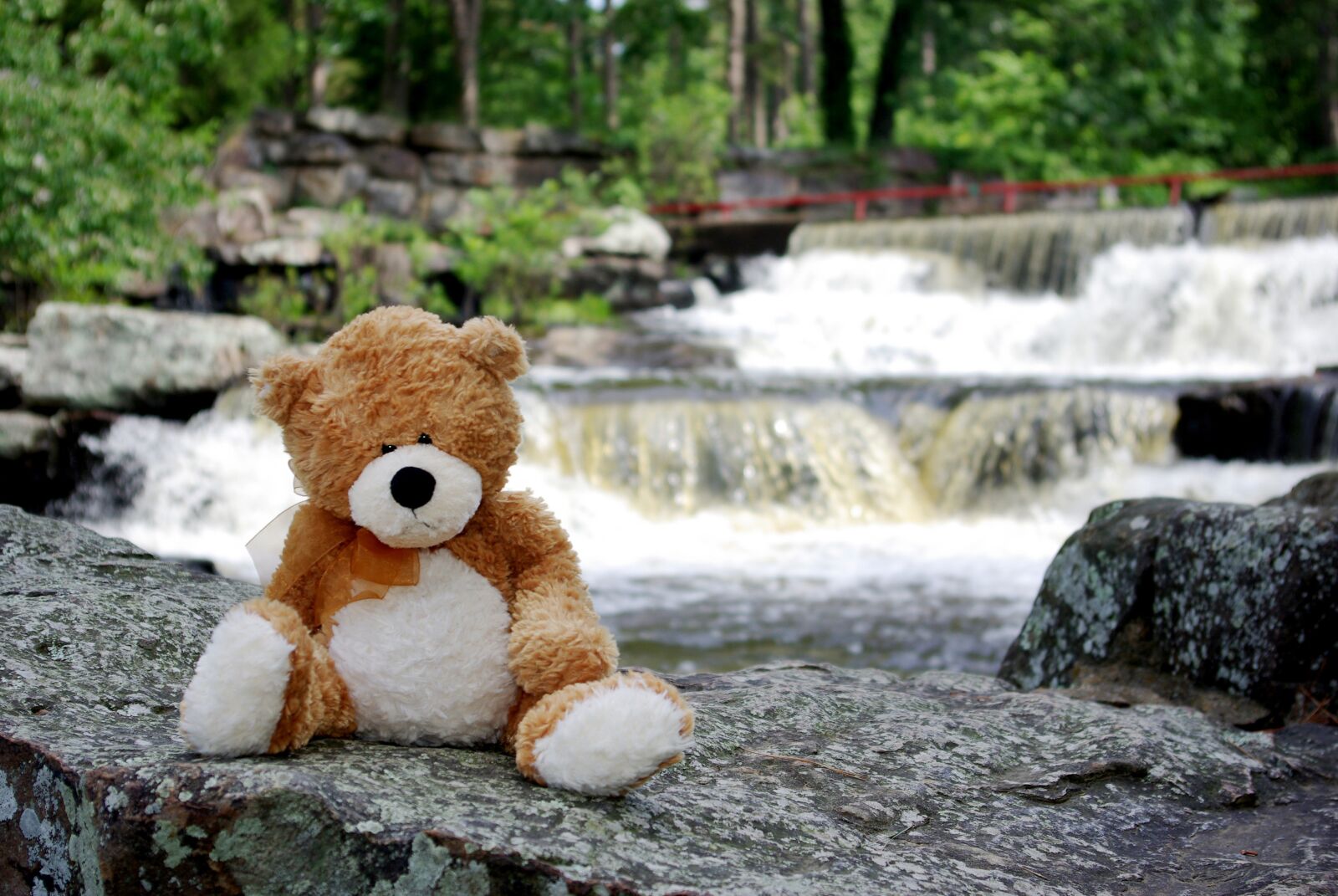 Pentax K10D sample photo. Teddy bear, waterfall, outdoors photography