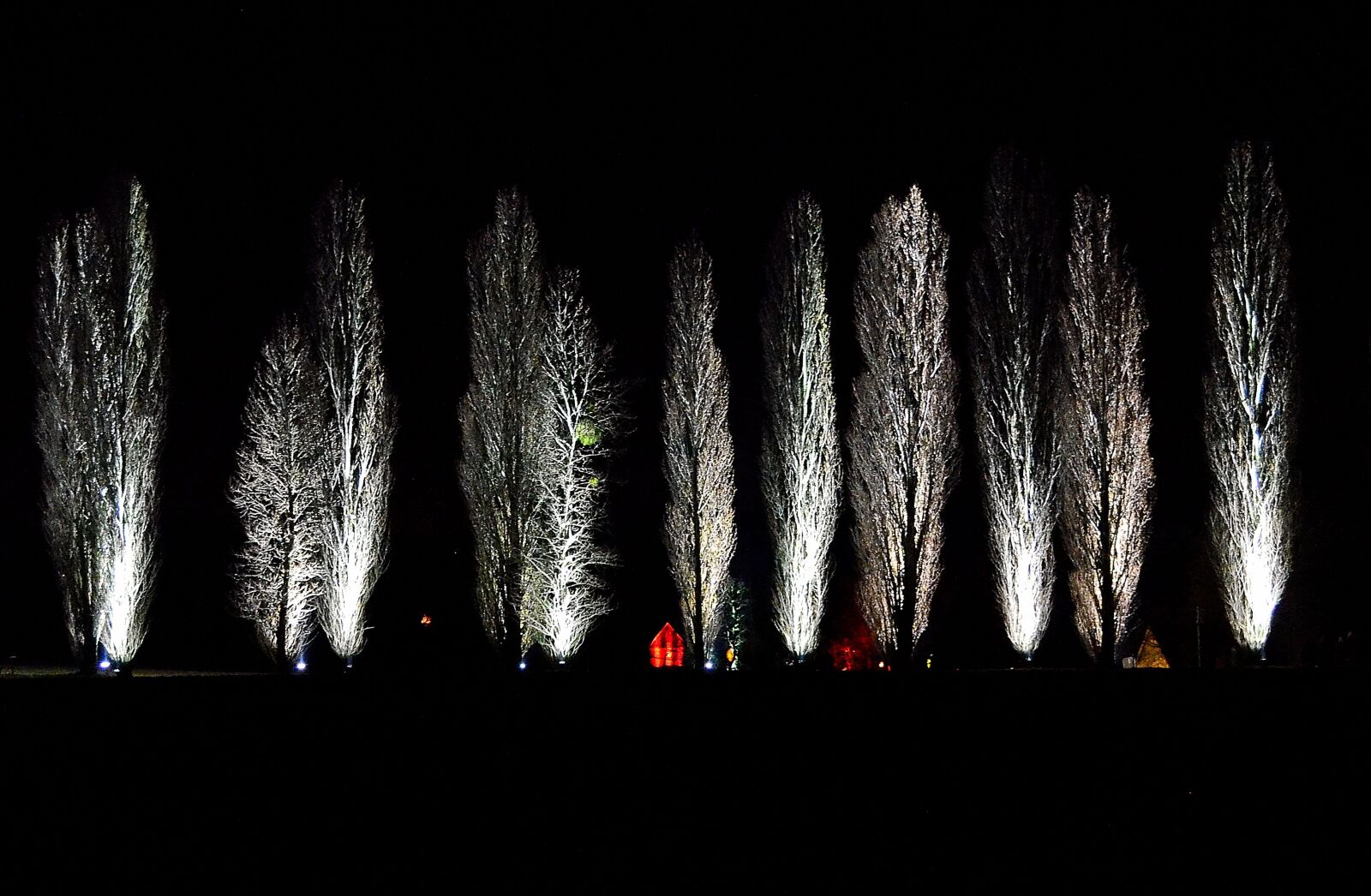 Nikon D5100 sample photo. Trees, moon, lighting photography