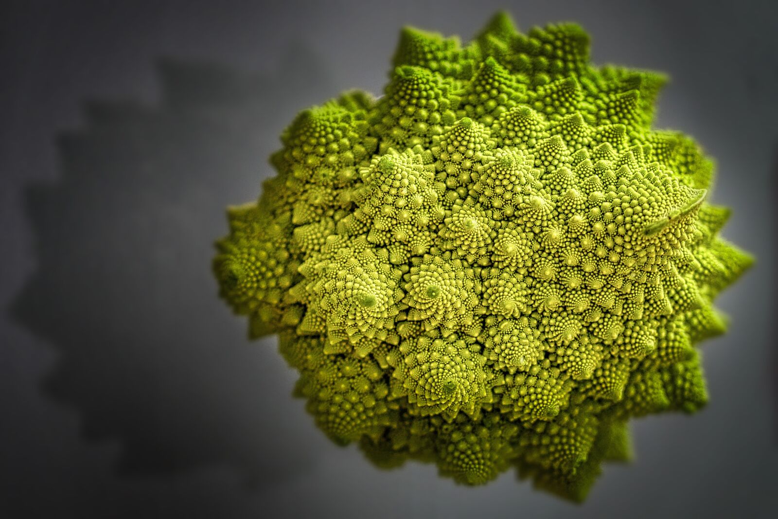 Panasonic Lumix DMC-GX8 sample photo. Romanesco, cauliflower, vegetables photography
