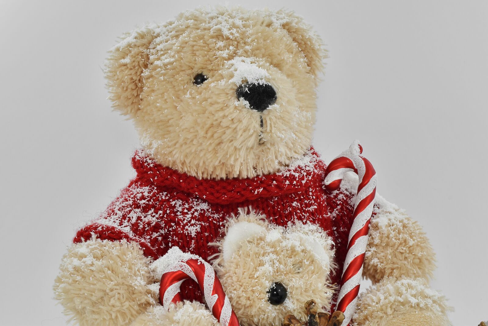 Nikon D5500 sample photo. Teddy bear toy, bear photography