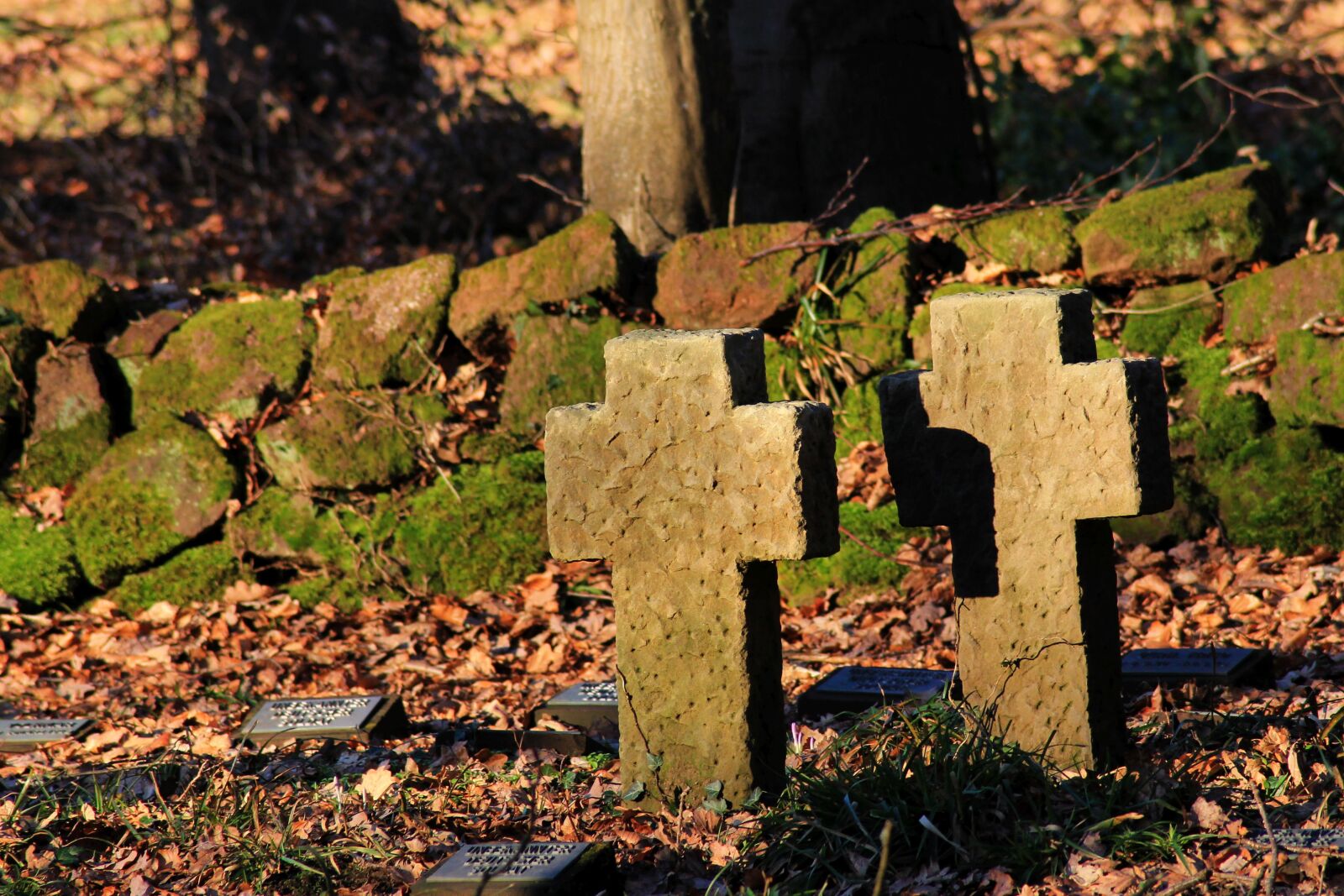 Canon EOS 1100D (EOS Rebel T3 / EOS Kiss X50) sample photo. Cross, cemetery, memorial photography