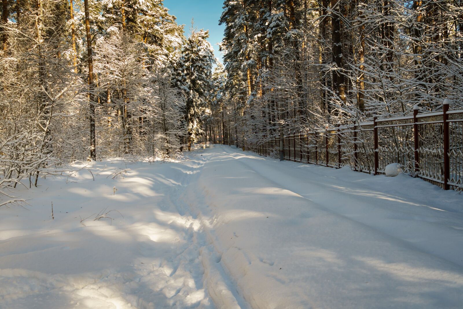 Sony a6300 + Sony Vario Tessar T* FE 24-70mm F4 ZA OSS sample photo. Snow, winter, frost photography