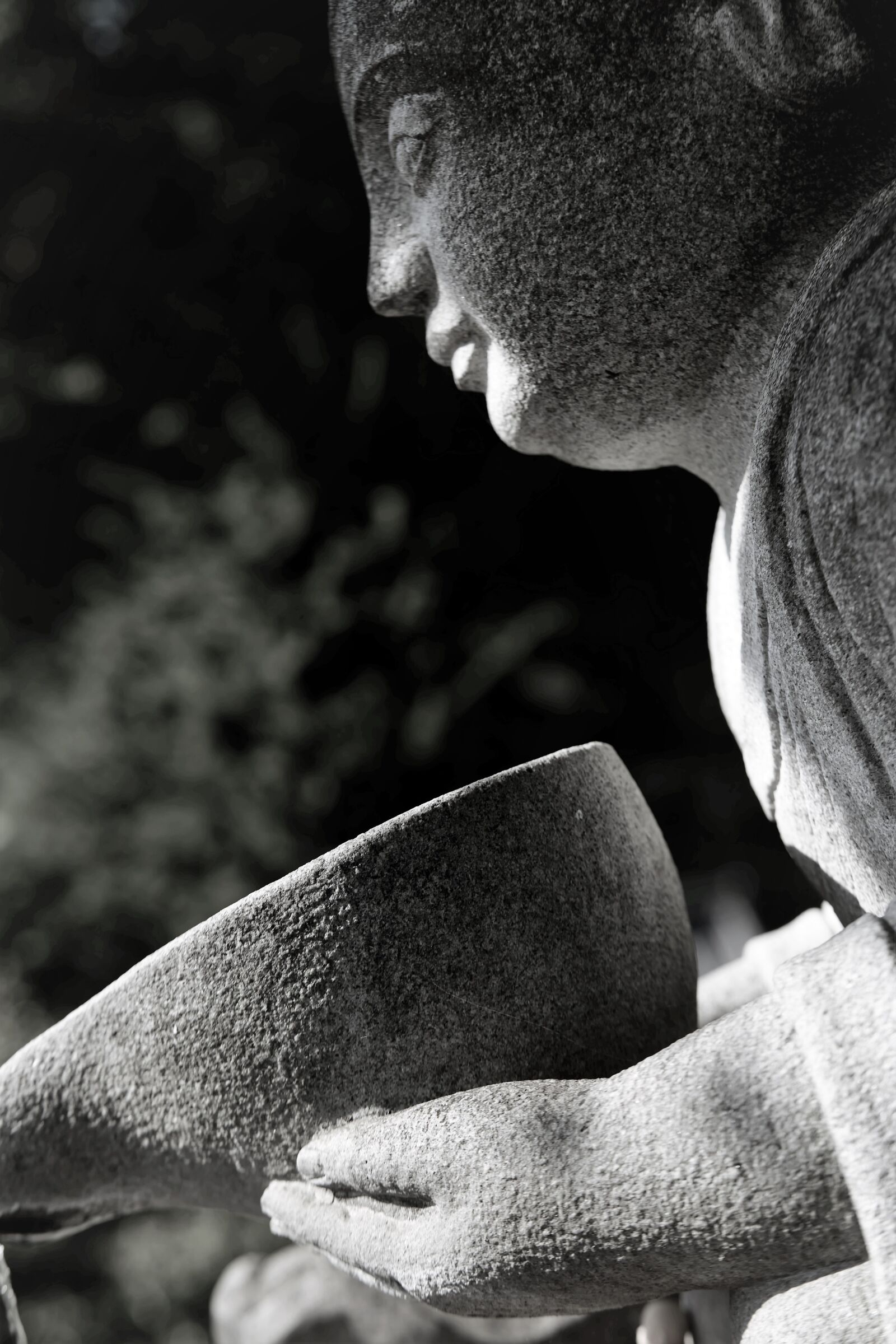 Leica APO-Summicron-SL 75mm F2 ASPH sample photo. Statue, buddhism, peaceful photography