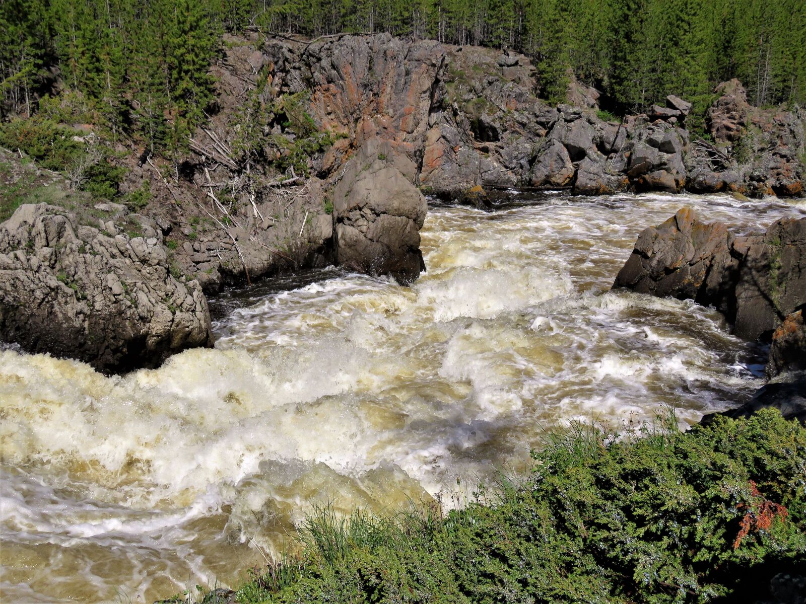 Canon PowerShot SX60 HS sample photo. Rapids, wyoming, wild river photography