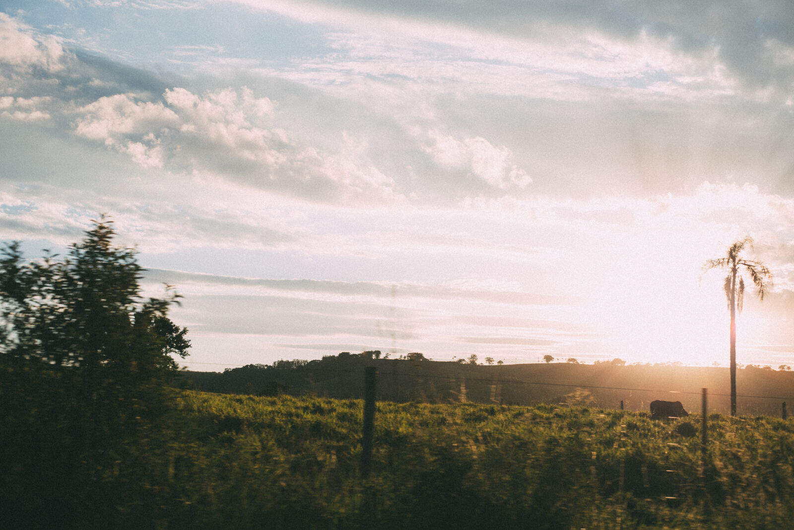 Canon EOS 6D + Canon EF 50mm F1.8 II sample photo. Backlit, clouds, dawn, daylight photography