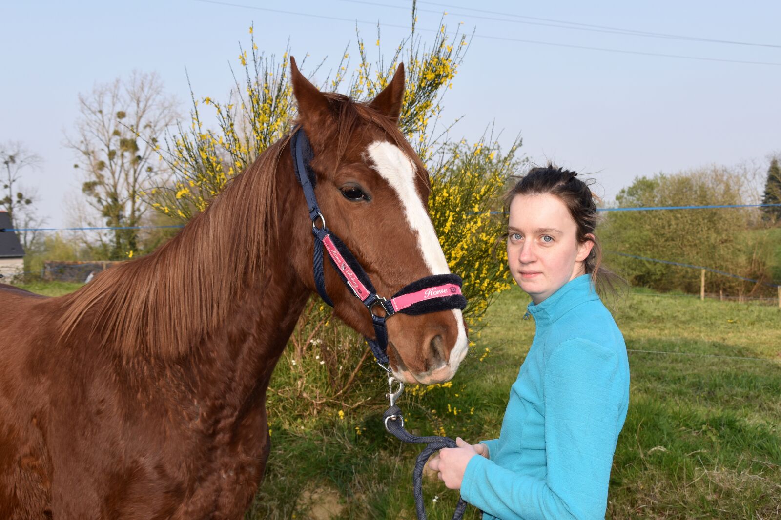 Nikon D5600 sample photo. Horse girl, equine, horseback photography