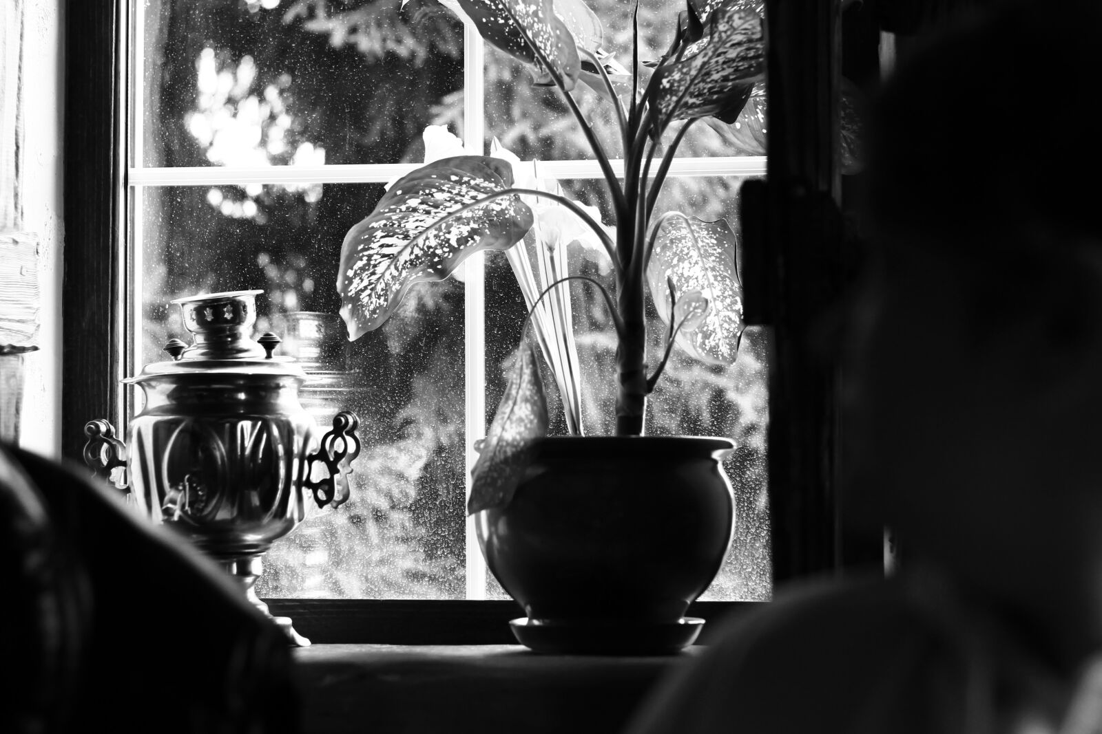 Canon EOS 700D (EOS Rebel T5i / EOS Kiss X7i) + Canon EF 50mm F1.8 II sample photo. Samovar, window, window sill photography