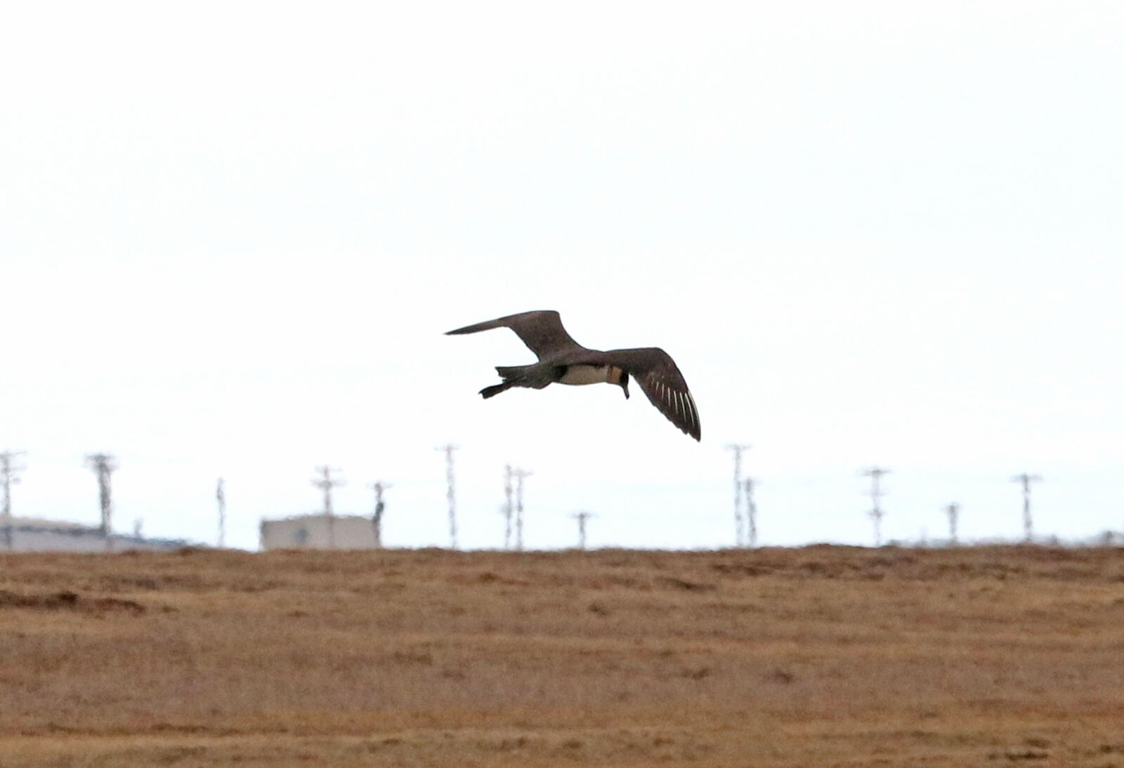 Canon EOS 750D (EOS Rebel T6i / EOS Kiss X8i) sample photo