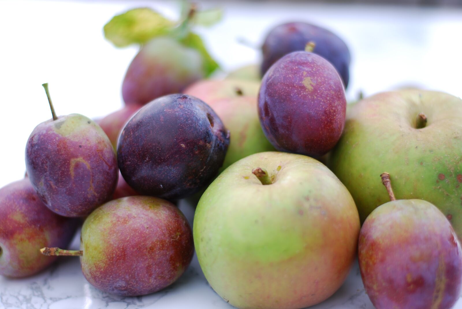Nikon D40X sample photo. Fruit, food, juicy photography