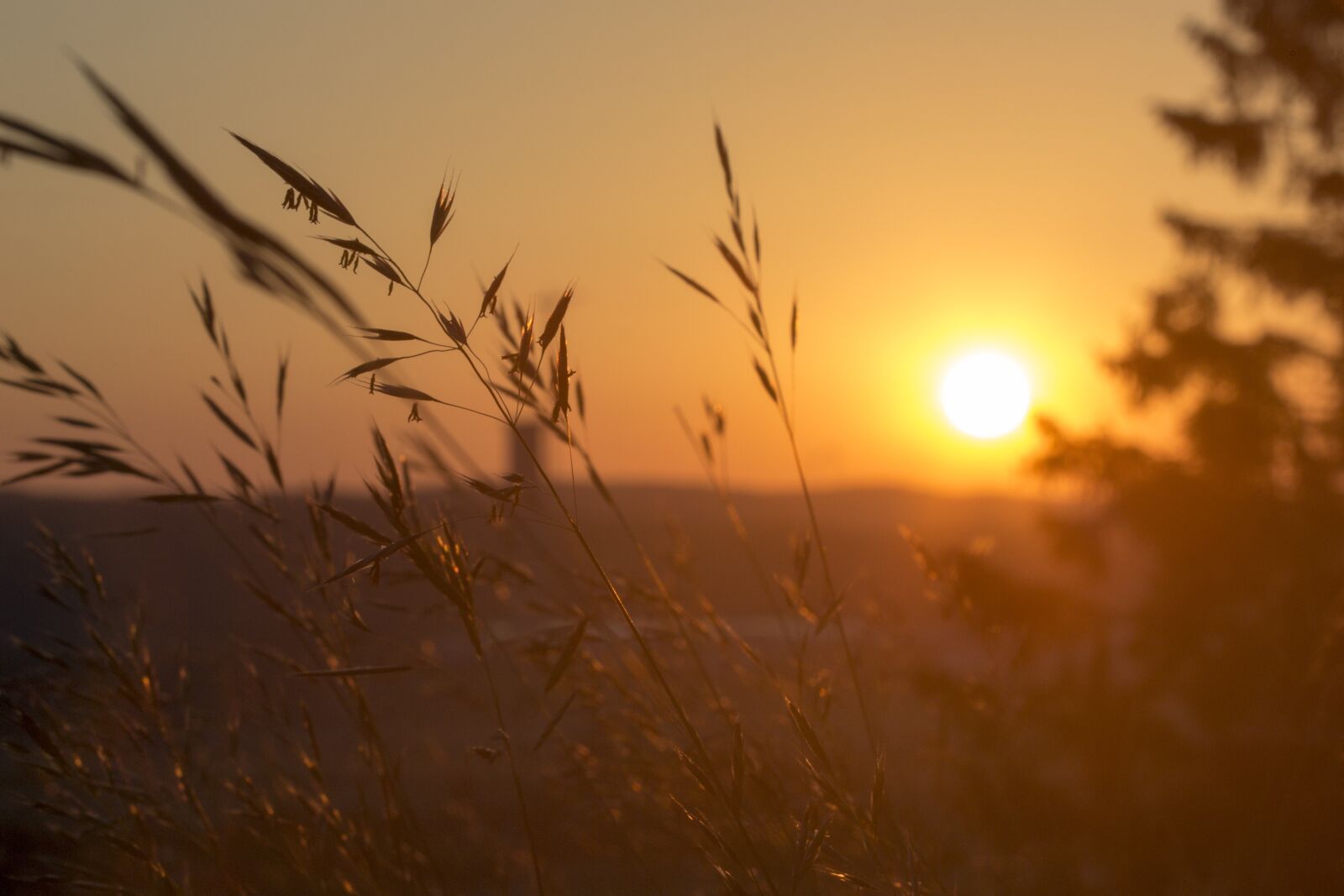 Canon EOS 650D (EOS Rebel T4i / EOS Kiss X6i) sample photo. Sunset, nature, evening sky photography