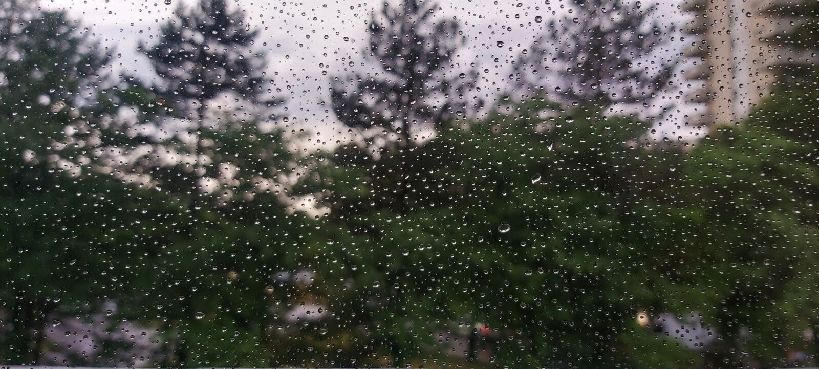 Samsung Galaxy A70 sample photo. Rain, drops, water photography