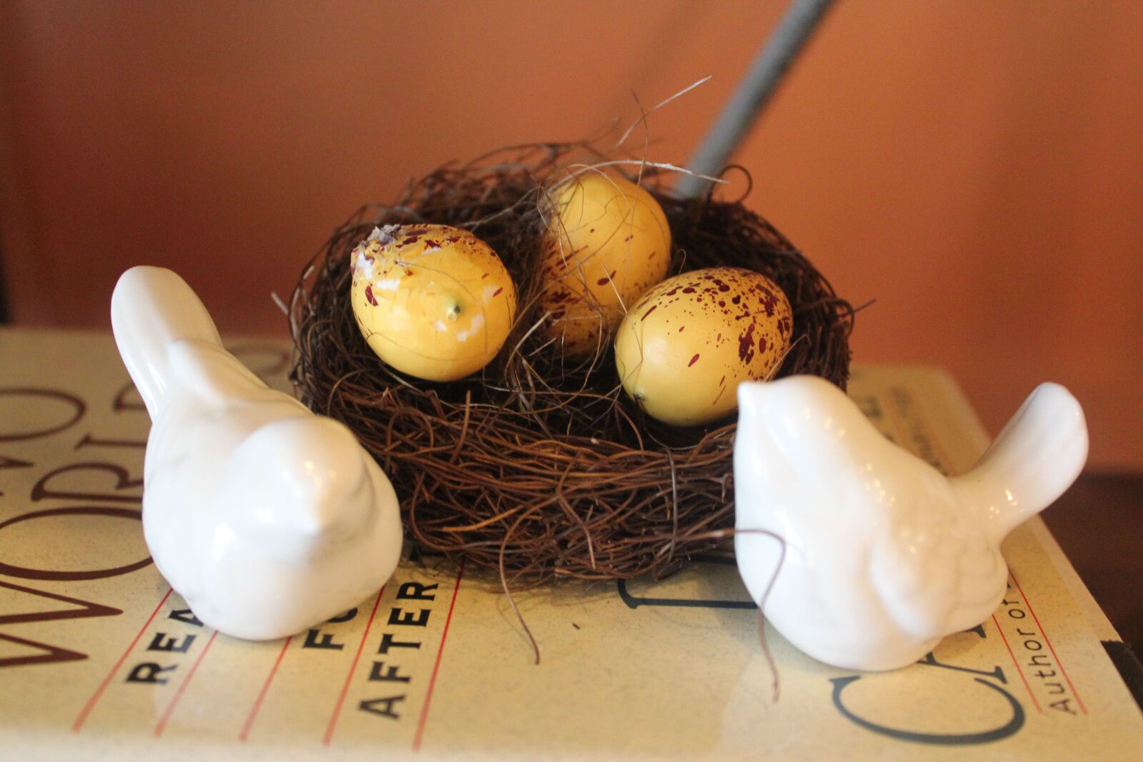 Canon EOS 550D (EOS Rebel T2i / EOS Kiss X4) sample photo. Spring, birds, nest photography