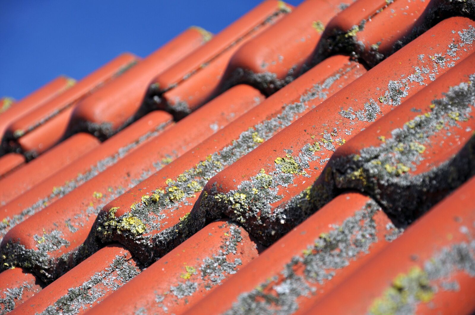 Nikon D90 sample photo. Roof, tile, clay tiles photography