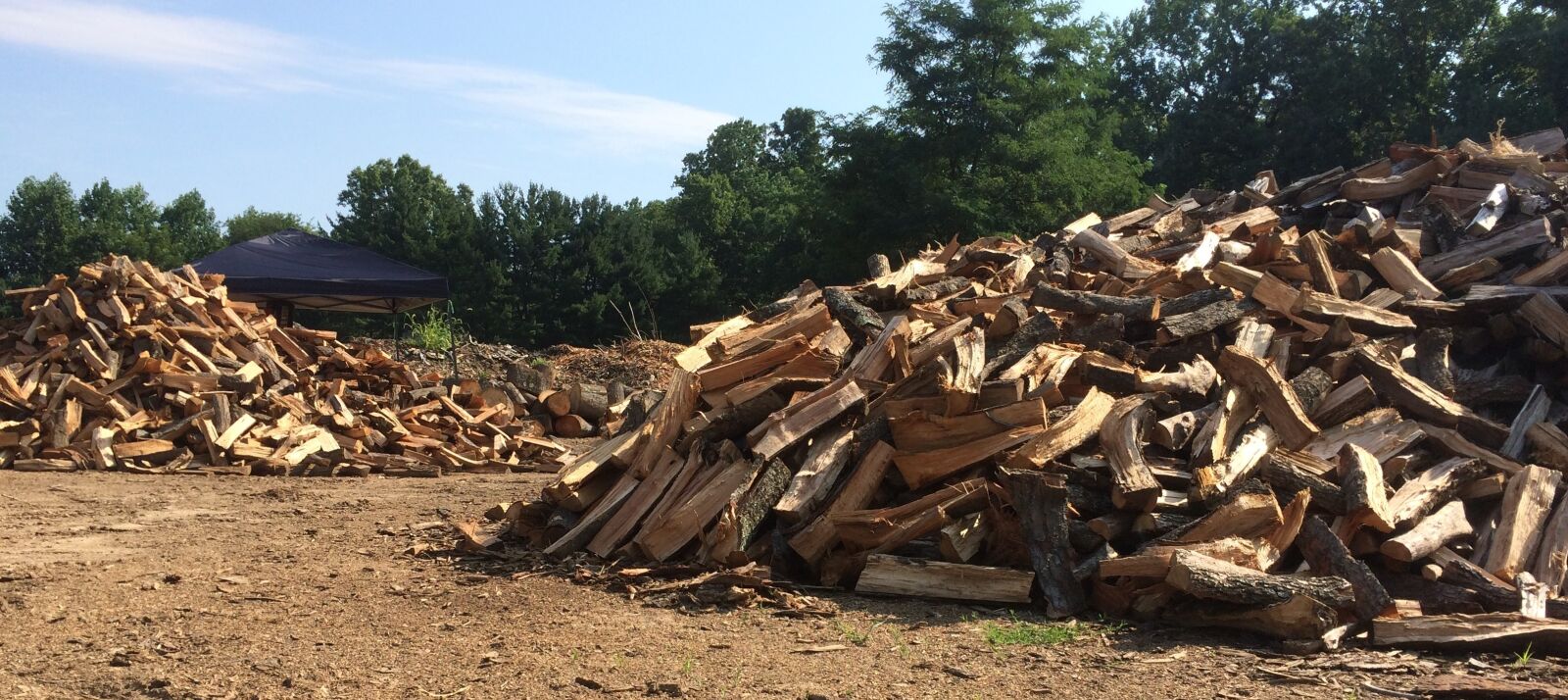 iPhone 5s back camera 4.15mm f/2.2 sample photo. Firewood, woodpile, timber photography
