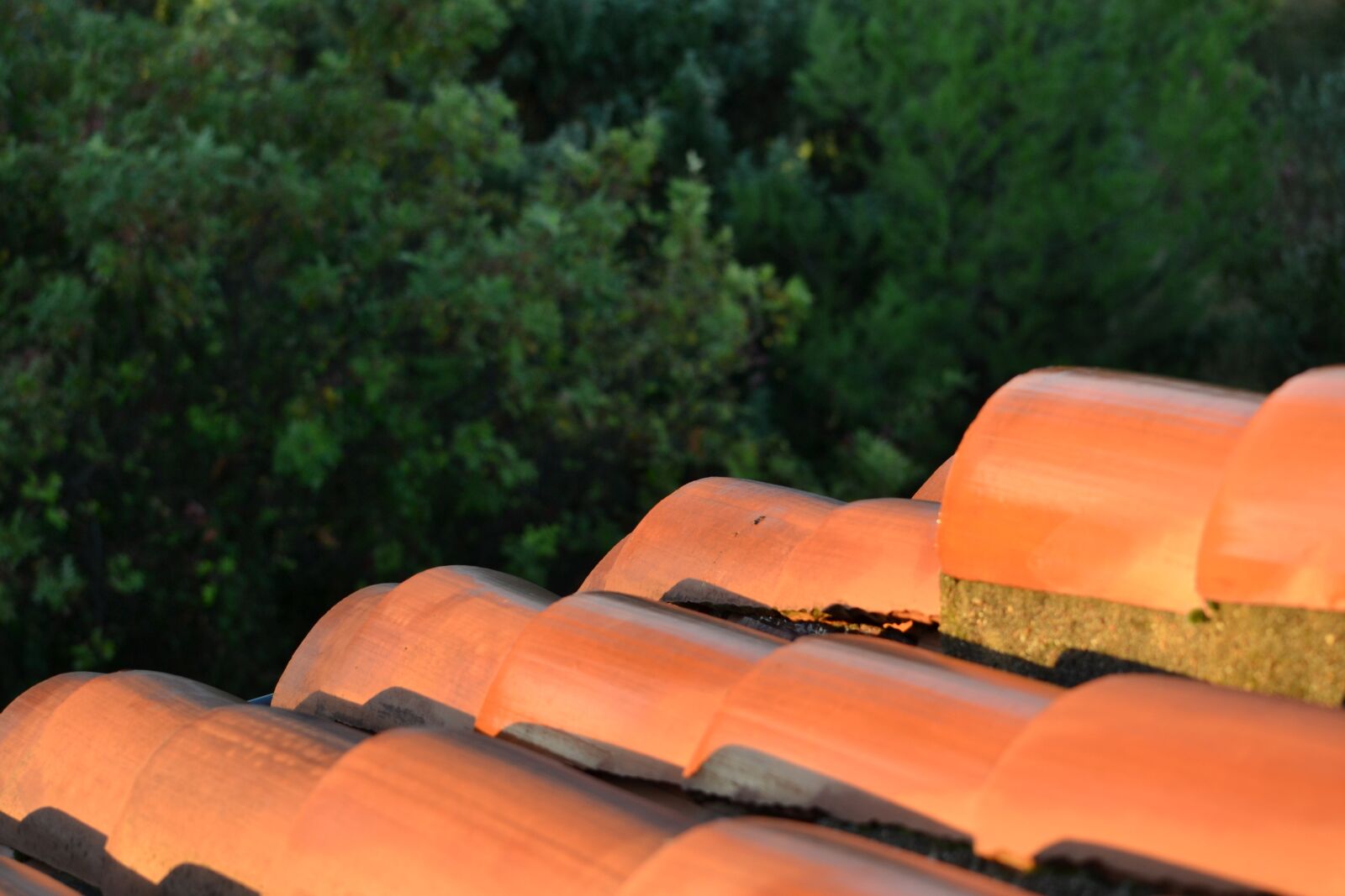 Nikon D3100 sample photo. Roof tiles, south, tile photography