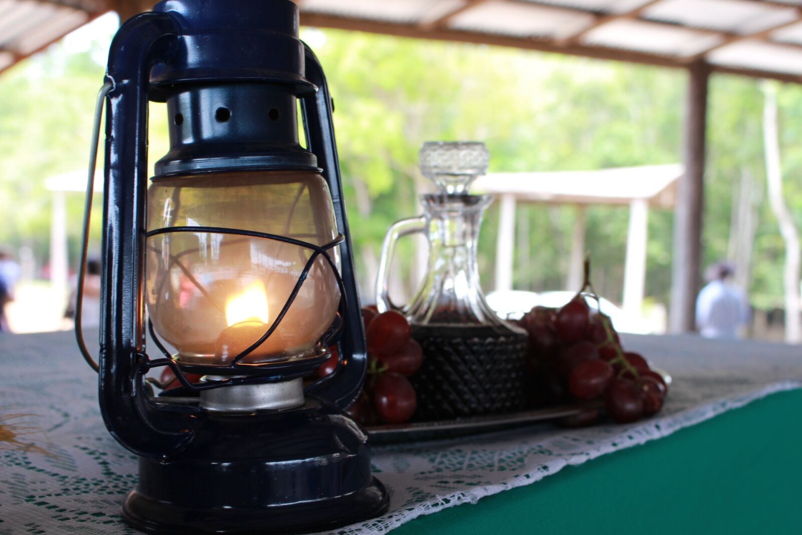 Canon EOS 700D (EOS Rebel T5i / EOS Kiss X7i) sample photo. Alcohol burner, light, grapes photography