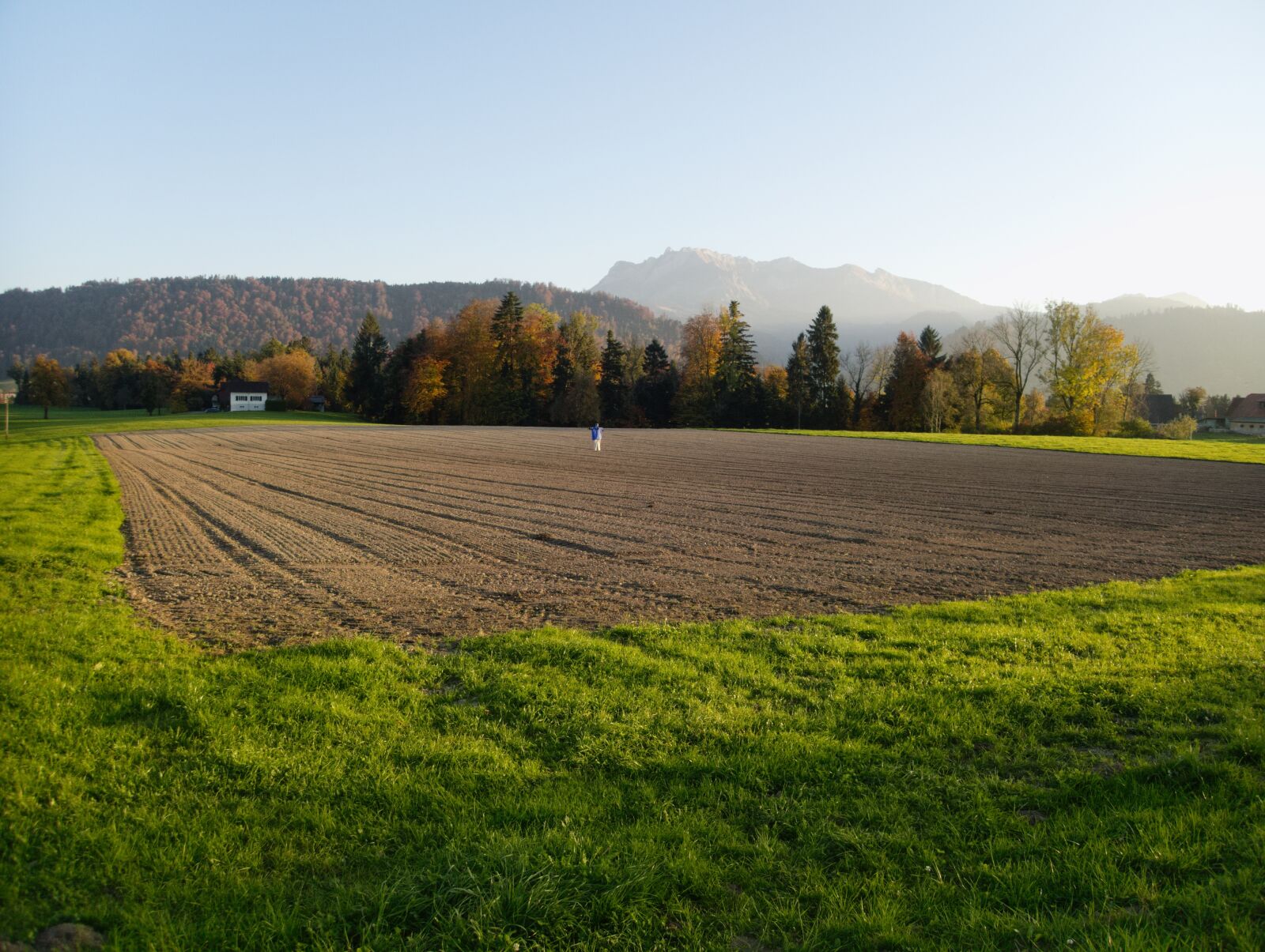 Olympus TG-5 sample photo. Arable, scarecrow, field photography