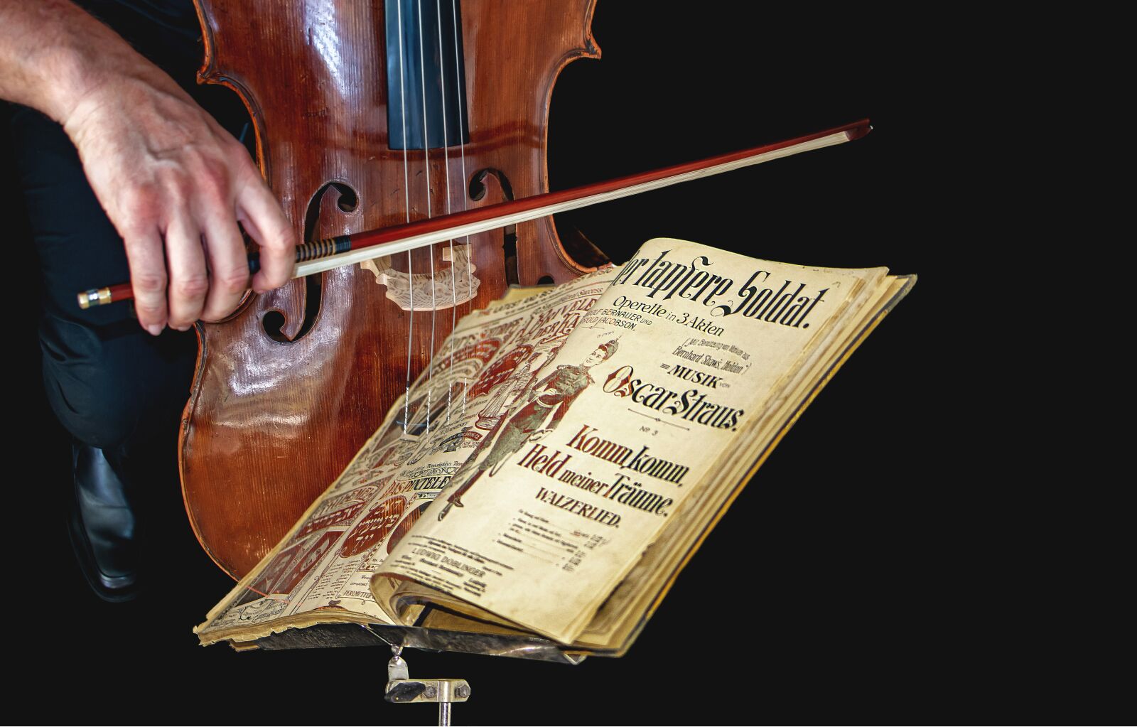 Nikon D5600 sample photo. Cello, classical music, violin photography