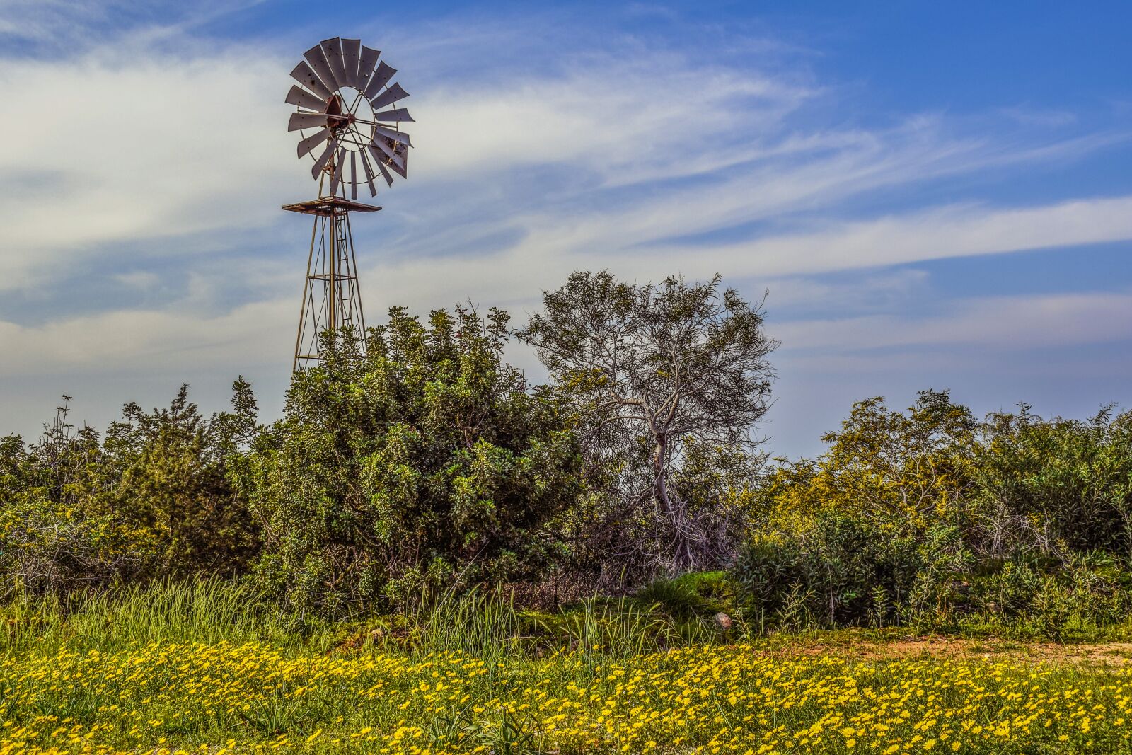 Nikon D3300 sample photo. Windmill, countryside, rural photography