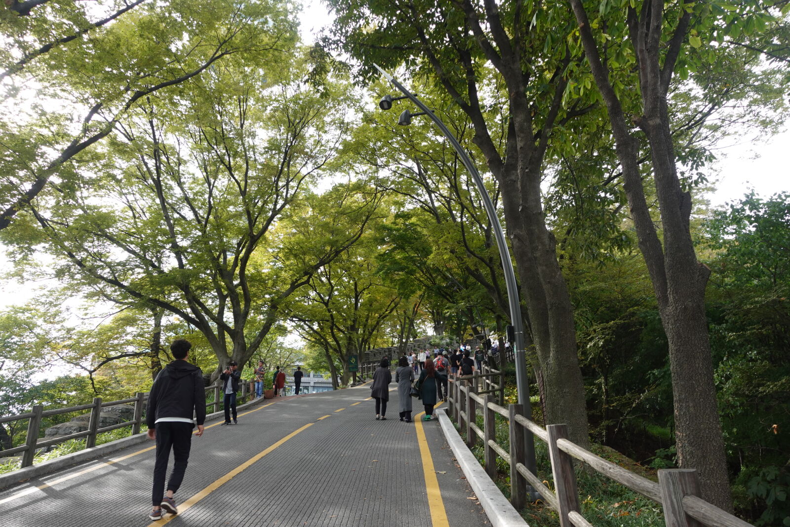 Sony ZV-1 sample photo