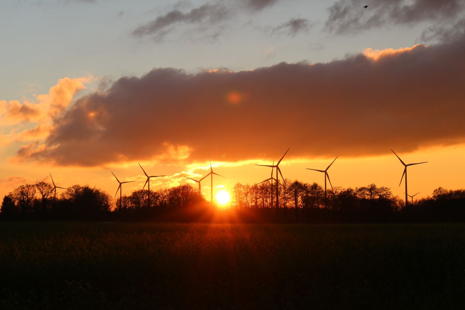 Canon EOS 700D (EOS Rebel T5i / EOS Kiss X7i) sample photo. Sunset, windr der, wind photography