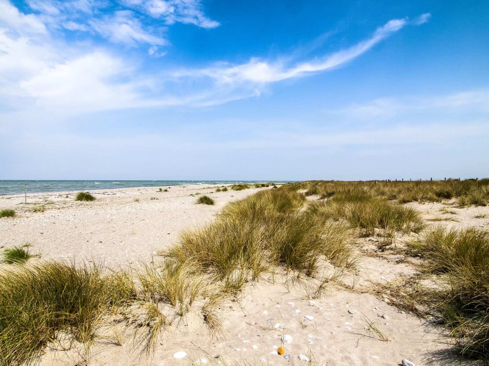 Olympus E-3 sample photo. Landscape, nature, baltic sea photography