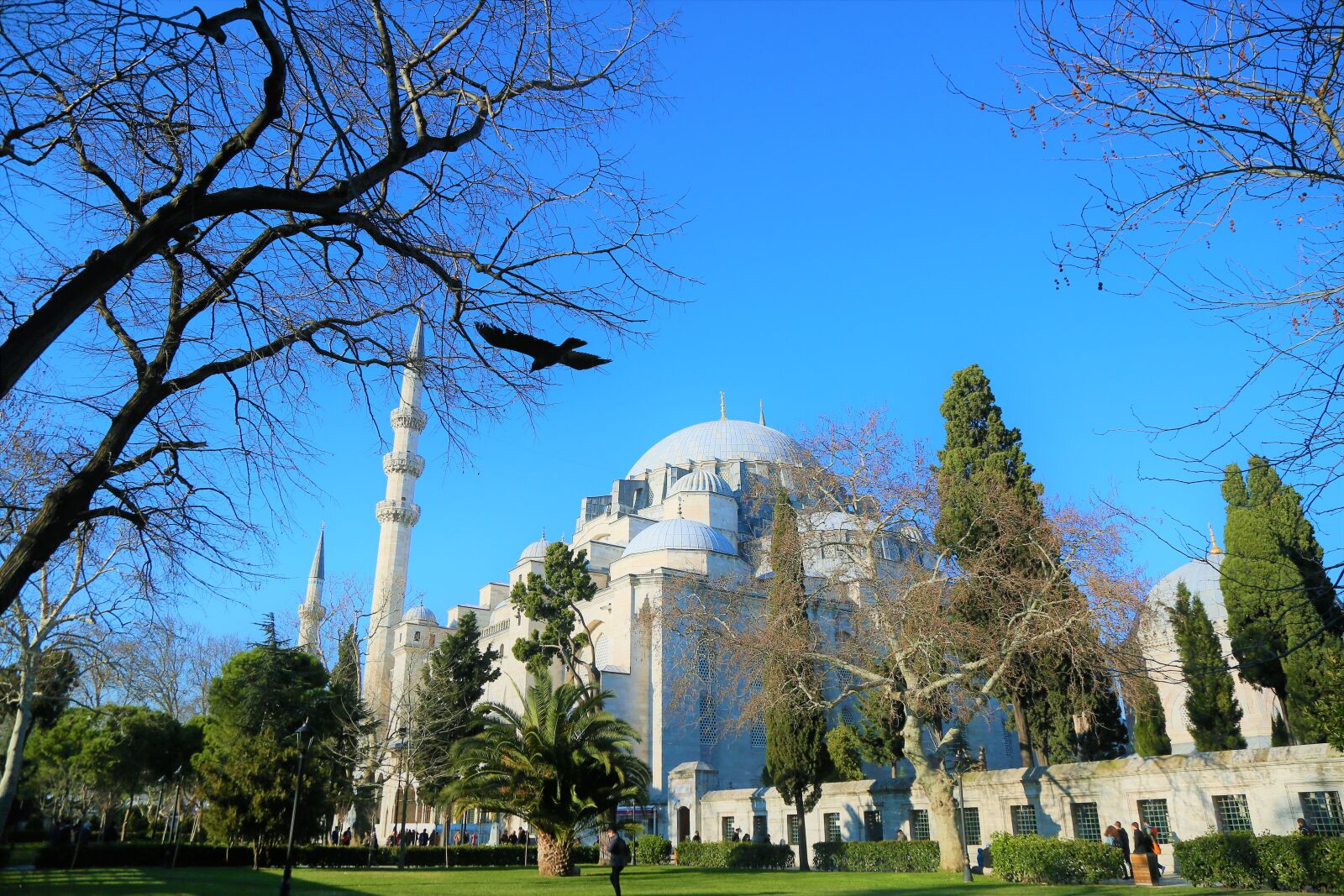 Canon EOS 5D Mark III sample photo. Cami, religion, islam photography