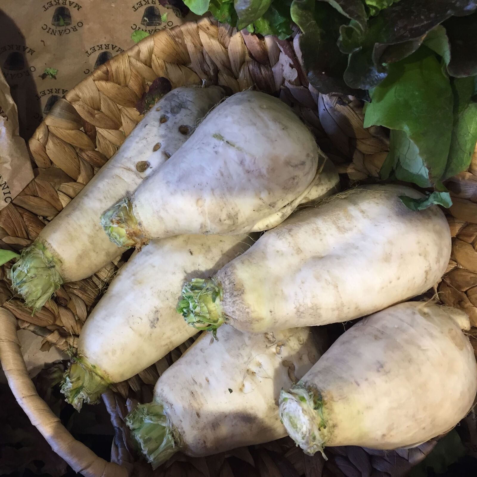 iPhone 6 back camera 4.15mm f/2.2 sample photo. Fresh, vegetable, sweede, turnip photography