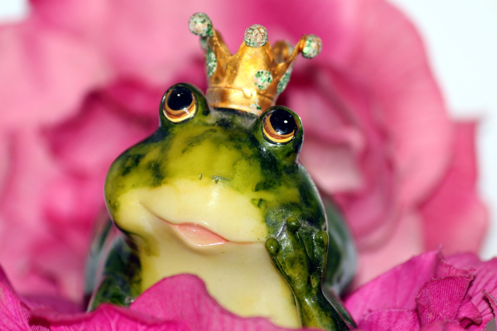 Canon EOS 650D (EOS Rebel T4i / EOS Kiss X6i) sample photo. Frog prince, crown, flower photography