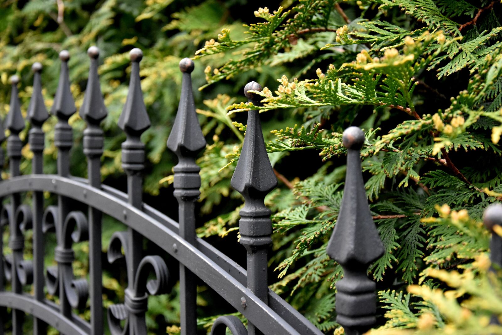 Nikon D7200 sample photo. Gateway, hammering, blacksmithing photography