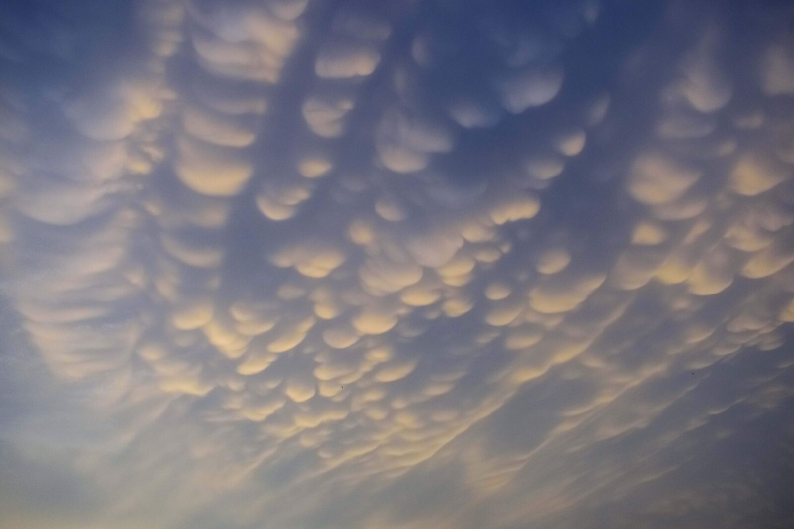 Nikon D3400 sample photo. Mammatus clouds, mammatus, weather photography
