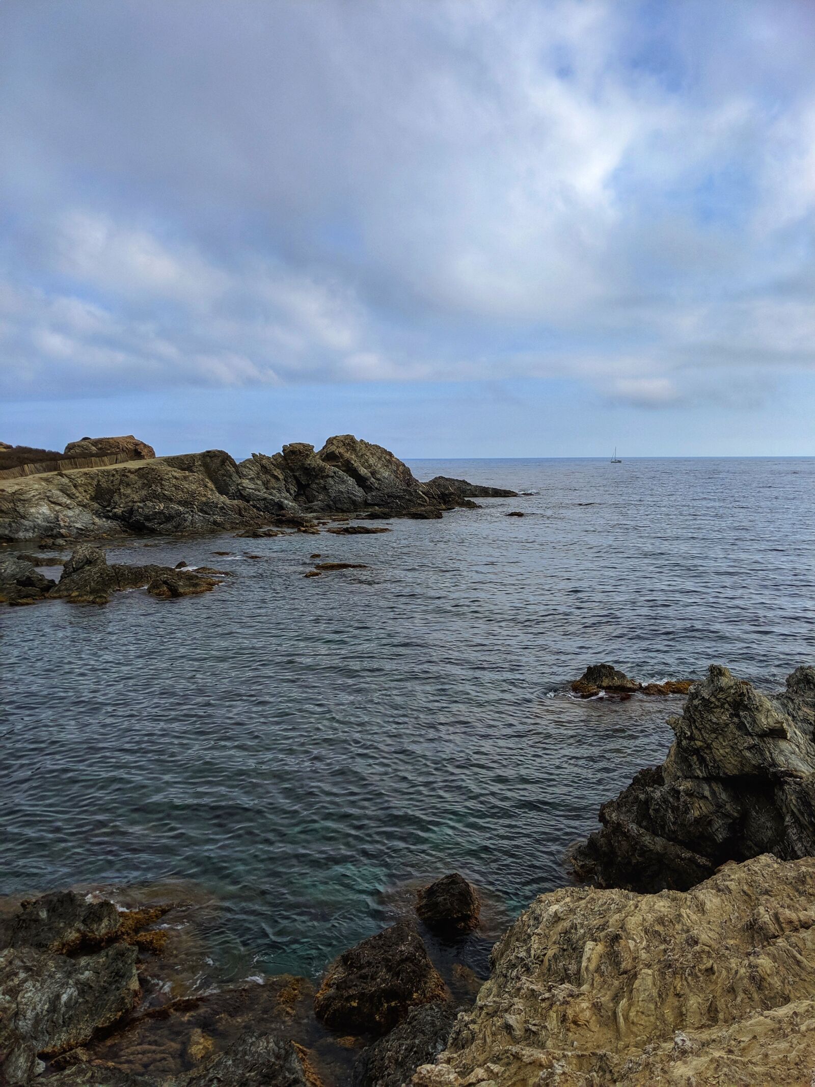 Google Pixel 3 XL sample photo. Zz, gg, hjk photography