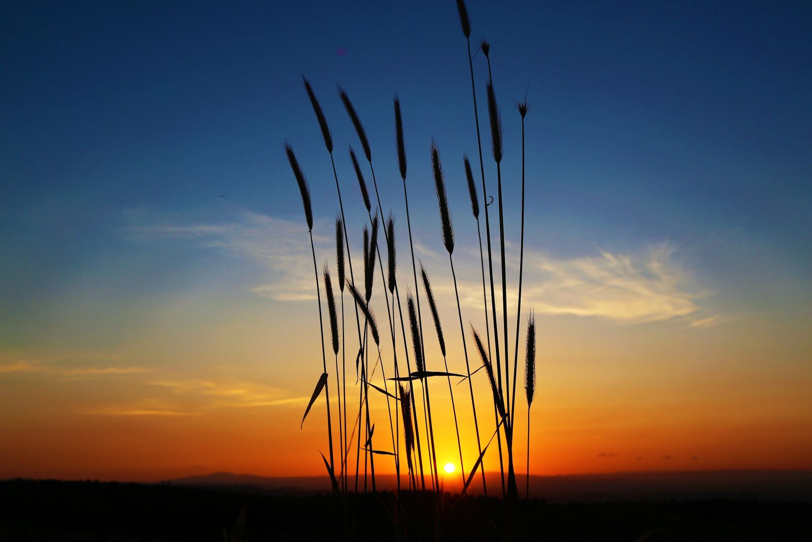 Canon EOS 5D Mark III sample photo. Sunset, nature, in the photography