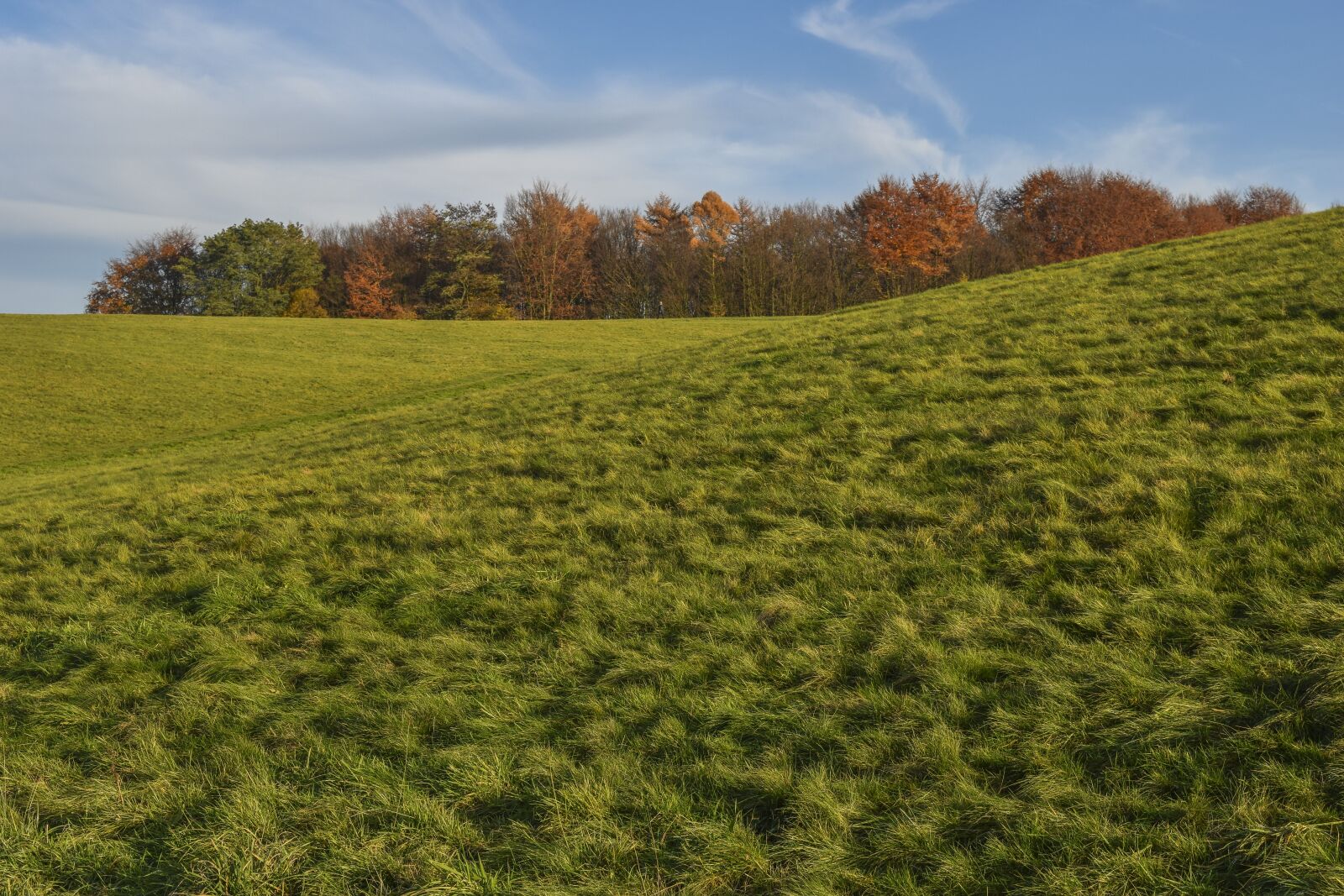 Nikon D3300 sample photo. Landscape, autumn, nature photography