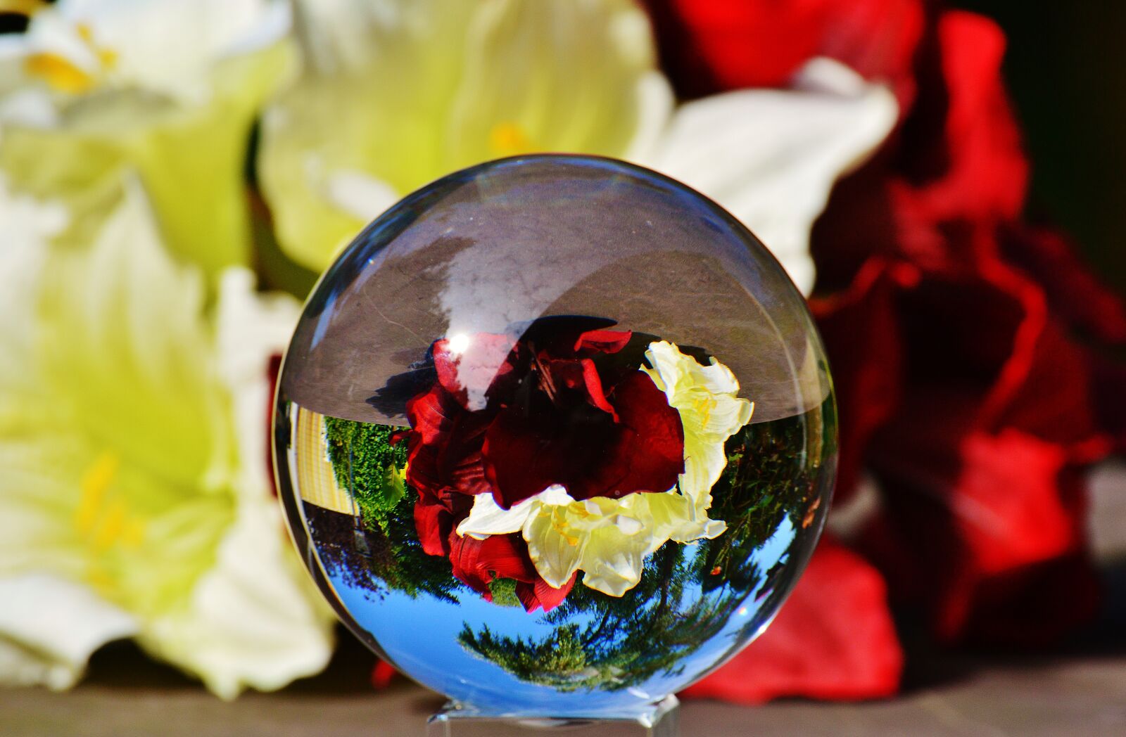 Nikon D3200 sample photo. Glass ball, ball, mirroring photography