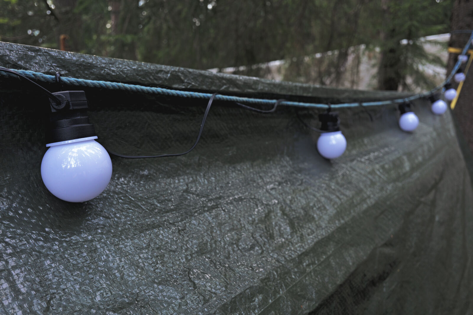Panasonic Lumix DC-S9 sample photo. Lamps for the night photography