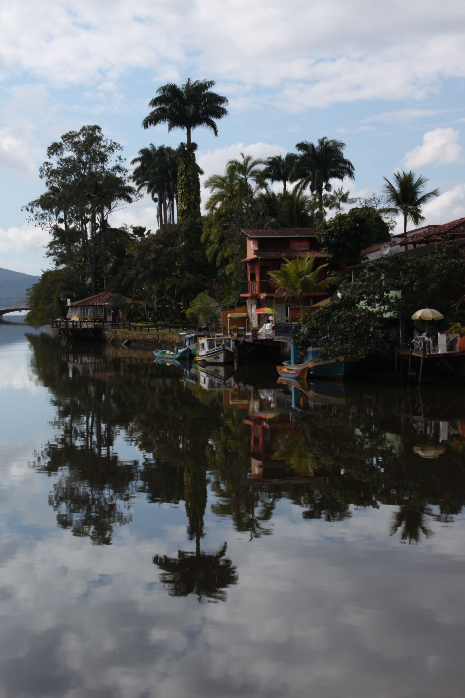 Canon EOS 500D (EOS Rebel T1i / EOS Kiss X3) sample photo. Palms, reflection, brazil photography