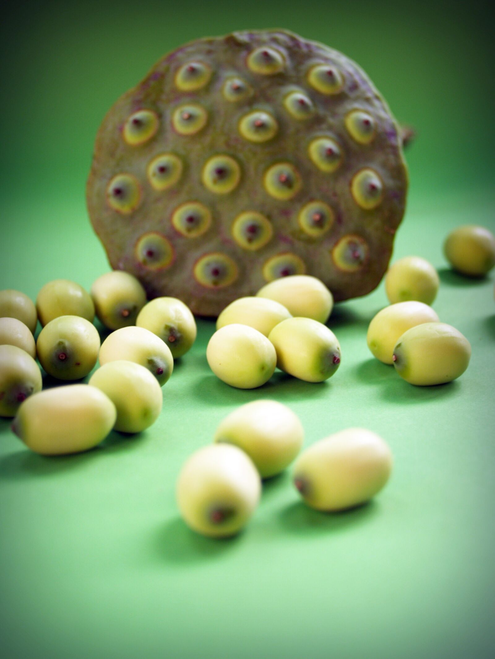 Olympus E-300 (EVOLT E-300) sample photo. Lotus, seed, flower photography