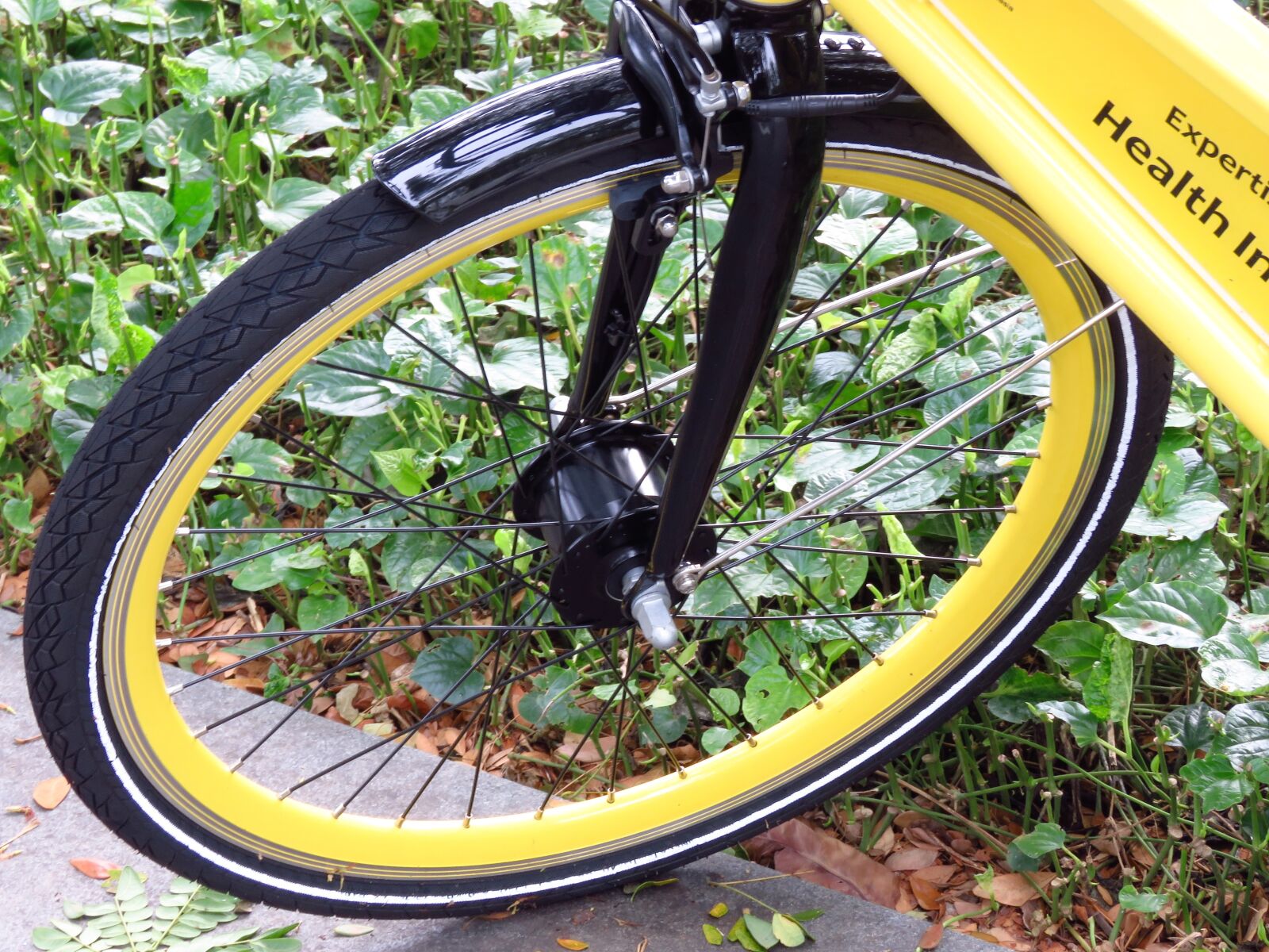 Canon PowerShot SX60 HS sample photo. Bicycle, wheel, yellow photography