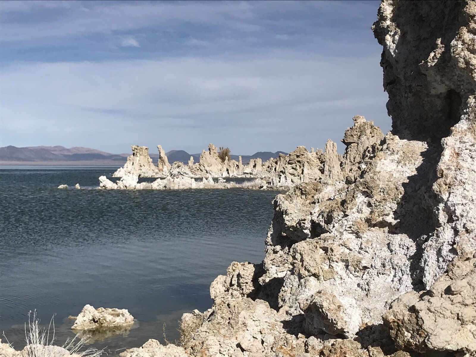 iPhone 7 back camera 3.99mm f/1.8 sample photo. Mono lake, california, nature photography