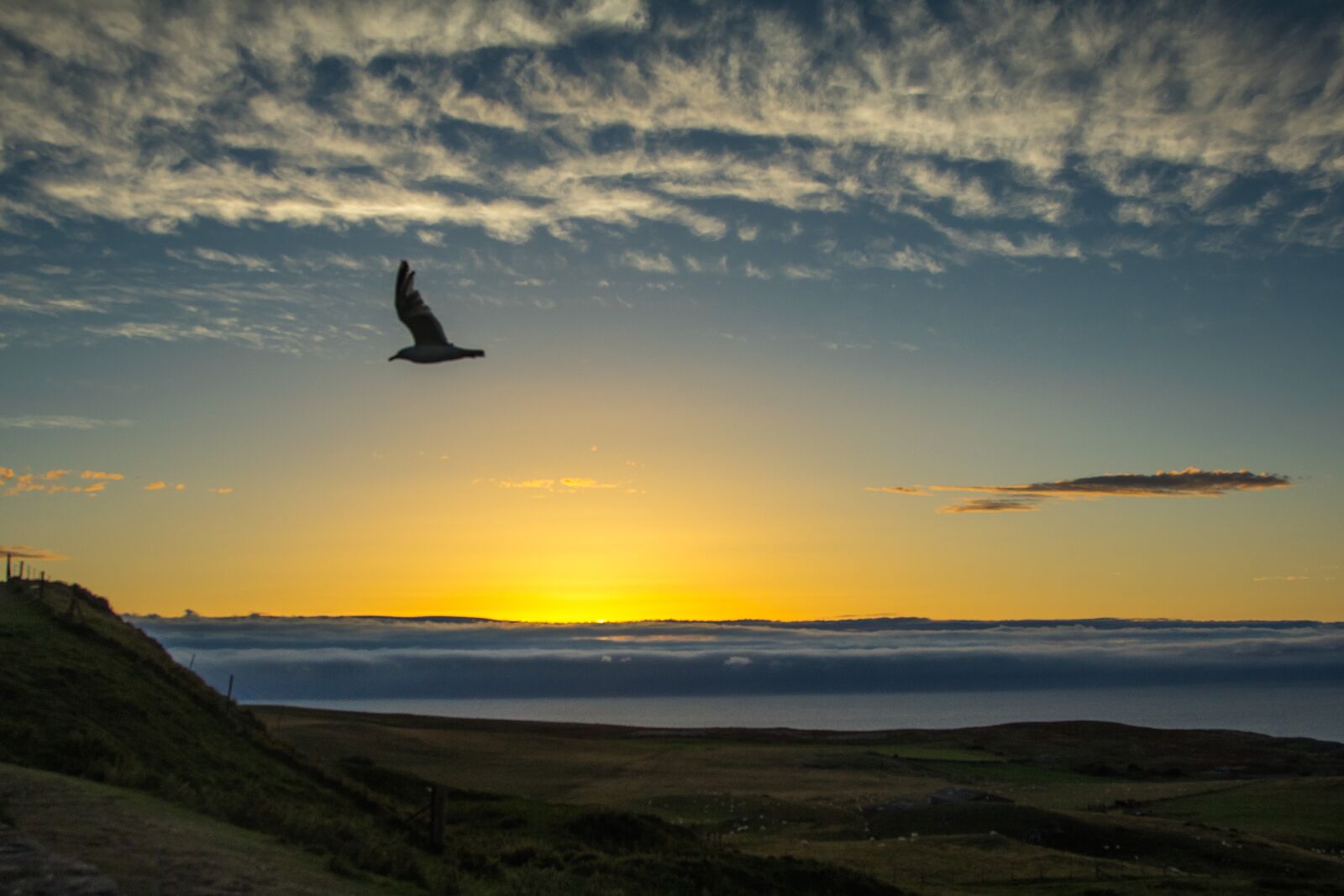 Canon EOS 60D + Canon EF 24-105mm F4L IS USM sample photo. Sunset, ocean, clouds photography