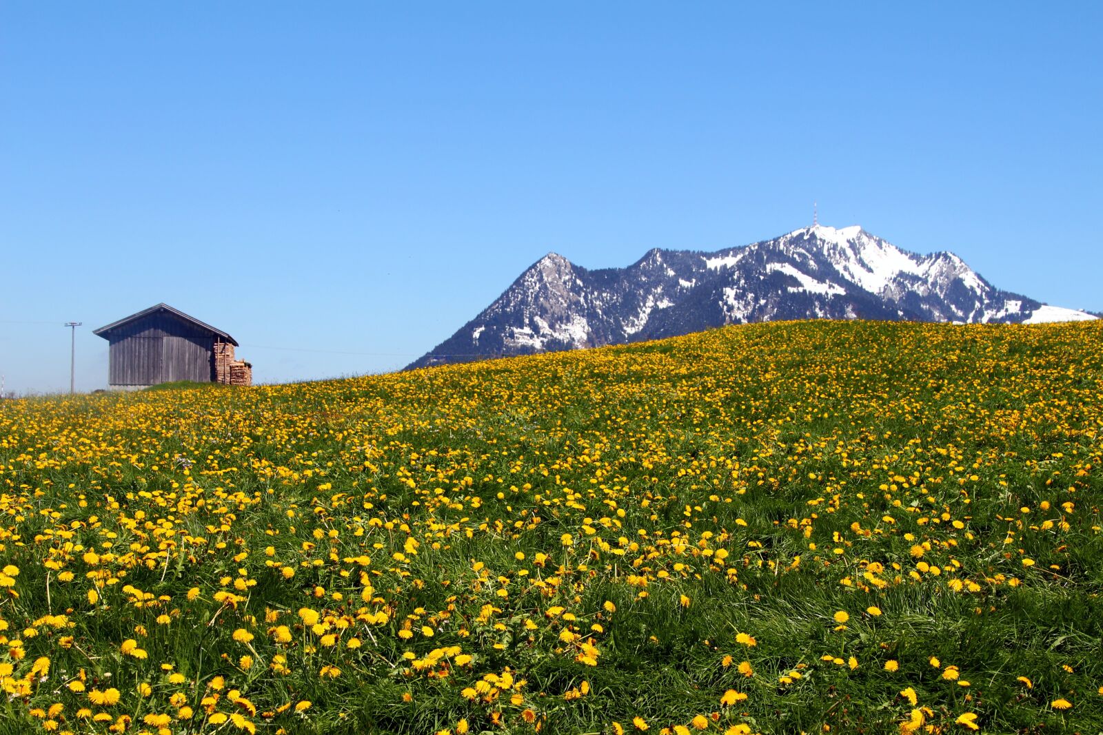 Canon EOS 700D (EOS Rebel T5i / EOS Kiss X7i) sample photo. Spring, allgäu, bavaria photography